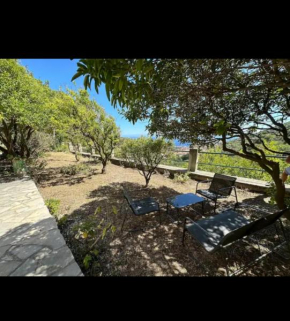 10 min de Monaco petite maison avec jardin vue mer et rocher de Monaco